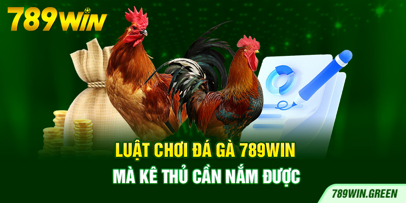 Luật chơi đá gà 789win mà kê thủ cần nắm được Luật chơi đá gà 789win mà kê thủ cần nắm được